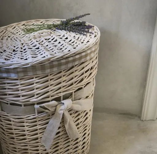 Iconic - Rosa Βίλα *