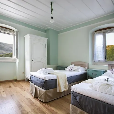 Iconic - Rosa * Ajía Effimía